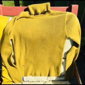 Turtleneck- Liz Claiborne